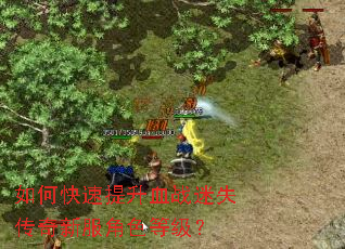 如何快速提升血战迷失传奇新服角色等级? 如何快速提升血战迷失传奇新服角色等级?