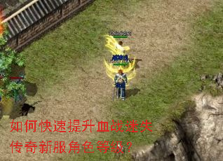 如何快速提升血战迷失传奇新服角色等级? 如何快速提升血战迷失传奇新服角色等级?