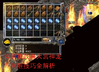 如何挑战真天宫神龙?制胜技巧全解析 如何挑战真天宫神龙?制胜技巧全解析
