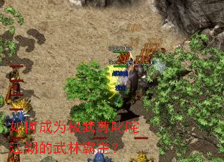 如何成为极武尊叱咤江湖的武林霸主? 如何成为极武尊叱咤江湖的武林霸主?