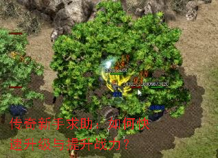 传奇新手求助:如何快速升级与提升战力? 传奇新手求助:如何快速升级与提升战力?
