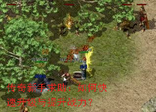 传奇新手求助:如何快速升级与提升战力? 传奇新手求助:如何快速升级与提升战力?