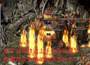 新手如何快速上手传奇私服?称霸玛法大陆的秘诀是什么? 新手如何快速上手传奇私服?称霸玛法大陆的秘诀是什么?