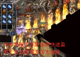 ����˽����������ο���ӯ������Ч׬Ǯ���������