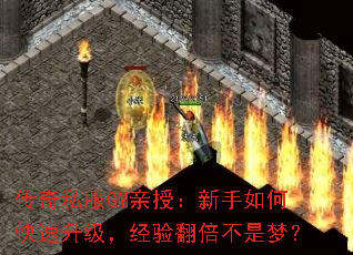 传奇私服GM亲授:新手如何快速升级,经验翻倍不是梦? 传奇私服GM亲授:新手如何快速升级,经验翻倍不是梦?