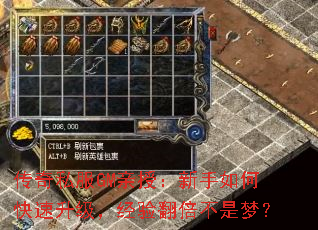 传奇私服GM亲授:新手如何快速升级,经验翻倍不是梦? 传奇私服GM亲授:新手如何快速升级,经验翻倍不是梦?