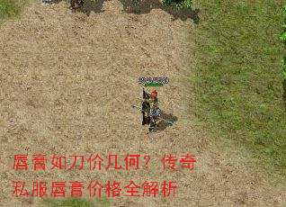 唇膏如刀价几何?传奇私服唇膏价格全解析 唇膏如刀价几何?传奇私服唇膏价格全解析