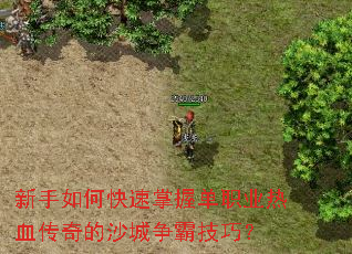 新手如何快速掌握单职业热血传奇的沙城争霸技巧? 新手如何快速掌握单职业热血传奇的沙城争霸技巧?