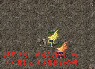 ��Ѫ����sf�·������������ֿ�����ôѡ���ܿ��ٱ�ǿ��