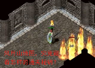 风月山地图,究竟藏着怎样的通关秘钥? 风月山地图,究竟藏着怎样的通关秘钥?
