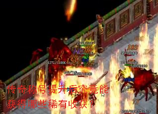 传奇称号提升后究竟能获得哪些稀有收获? 传奇称号提升后究竟能获得哪些稀有收获?