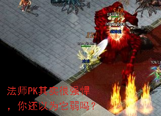 ��ʦPK��ʵ��ǿ�����㻹��Ϊ������