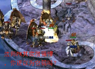 ��ʦPK��ʵ��ǿ�����㻹��Ϊ������