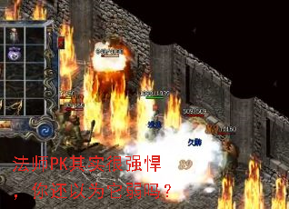 ��ʦPK��ʵ��ǿ�����㻹��Ϊ������