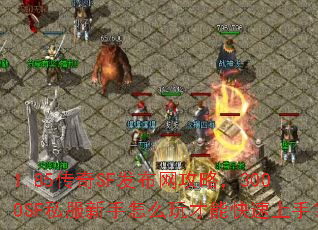 1.85����SF���������ԣ�3000SF˽��������ô����ܿ������֣�