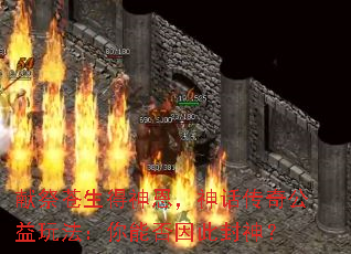 �׼�������������񻰴��湫���淨�����ܷ���˷���