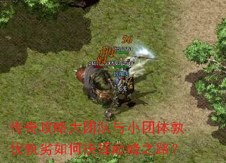 传奇攻略大团队与小团体孰优孰劣如何抉择巅峰之路? 传奇攻略大团队与小团体孰优孰劣如何抉择巅峰之路?