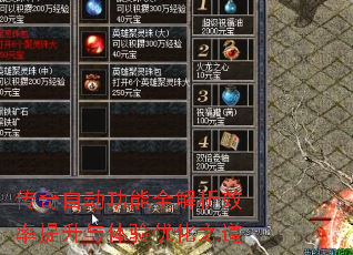 传奇自动功能全解析效率提升与体验优化之道 传奇自动功能全解析效率提升与体验优化之道