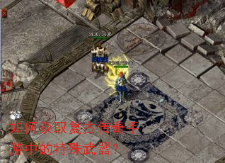 如何获取复古传奇手游中的特殊武器? 如何获取复古传奇手游中的特殊武器?