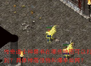 传奇道士神兽书在哪些地图可以打到?具体掉落怪物和爆率如何? 传奇道士神兽书在哪些地图可以打到?具体掉落怪物和爆率如何?