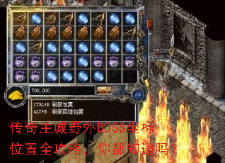 ��������Ұ��BOSS����λ��ȫ���ԣ��㶼֪����
