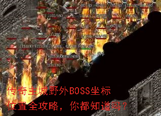 ��������Ұ��BOSS����λ��ȫ���ԣ��㶼֪����