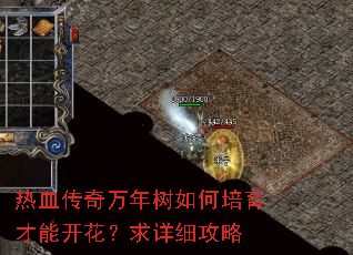 热血传奇万年树如何培育才能开花?求详细攻略 热血传奇万年树如何培育才能开花?求详细攻略