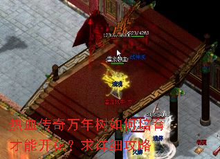 热血传奇万年树如何培育才能开花?求详细攻略 热血传奇万年树如何培育才能开花?求详细攻略