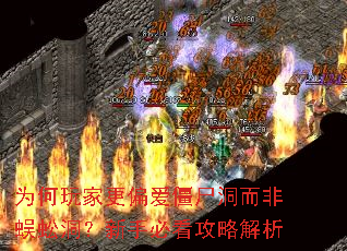 为何玩家更偏爱僵尸洞而非蜈蚣洞?新手必看攻略解析 为何玩家更偏爱僵尸洞而非蜈蚣洞?新手必看攻略解析