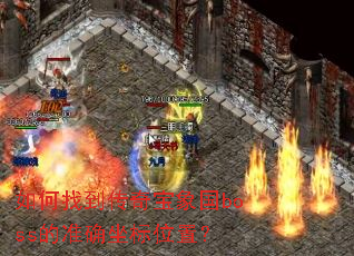 ����ҵ����汦���boss��׼ȷ����λ�ã�