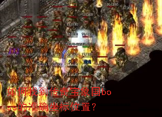 ����ҵ����汦���boss��׼ȷ����λ�ã�