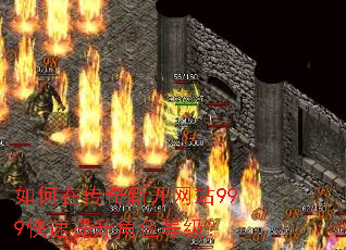 ����ڴ����¿���վ999����������ɫ�ȼ���