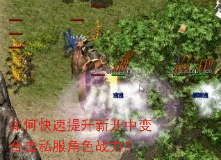 如何快速提升新开中变合击私服角色战力? 如何快速提升新开中变合击私服角色战力?