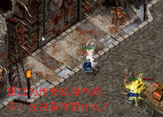 想成为传奇私服PK高手?先决条件是什么? 想成为传奇私服PK高手?先决条件是什么?