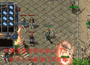 如何选择传奇私服12门派?新手入门最强门派推荐? 如何选择传奇私服12门派?新手入门最强门派推荐?