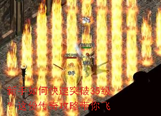 新手如何快速突破35级?这份传奇攻略带你飞 新手如何快速突破35级?这份传奇攻略带你飞