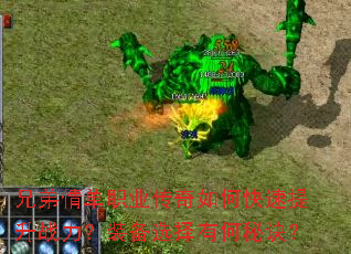 兄弟情单职业传奇如何快速提升战力?装备选择有何秘诀? 兄弟情单职业传奇如何快速提升战力?装备选择有何秘诀?