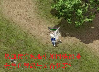 热血传奇私服中如何快速提升角色等级与装备获取? 热血传奇私服中如何快速提升角色等级与装备获取?