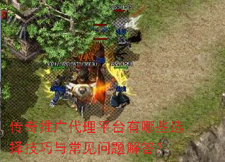 传奇推广代理平台有哪些选择技巧与常见问题解答? 传奇推广代理平台有哪些选择技巧与常见问题解答?
