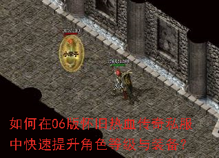 如何在06版怀旧热血传奇私服中快速提升角色等级与装备? 如何在06版怀旧热血传奇私服中快速提升角色等级与装备?