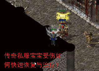 传奇私服宝宝受伤如何快速恢复与治疗? 传奇私服宝宝受伤如何快速恢复与治疗?