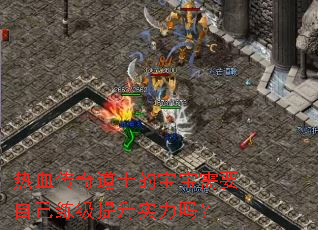 热血传奇道士的宝宝需要自己练级提升实力吗? 热血传奇道士的宝宝需要自己练级提升实力吗?