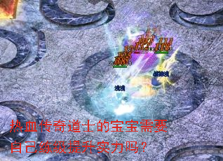 热血传奇道士的宝宝需要自己练级提升实力吗? 热血传奇道士的宝宝需要自己练级提升实力吗?