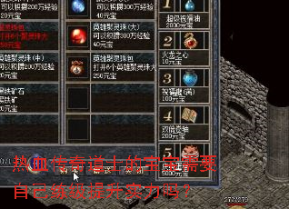 热血传奇道士的宝宝需要自己练级提升实力吗? 热血传奇道士的宝宝需要自己练级提升实力吗?