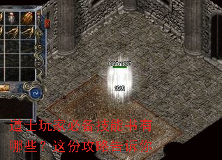 道士玩家必备技能书有哪些?这份攻略告诉你 道士玩家必备技能书有哪些?这份攻略告诉你