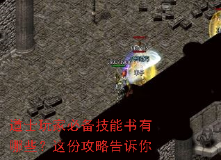 道士玩家必备技能书有哪些?这份攻略告诉你 道士玩家必备技能书有哪些?这份攻略告诉你