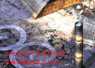 传奇双法师组合刷图效率真的超越单法师吗? 传奇双法师组合刷图效率真的超越单法师吗?