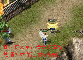 如何进入复古传奇的屠魔战场?求详细攻略步骤。 如何进入复古传奇的屠魔战场?求详细攻略步骤。