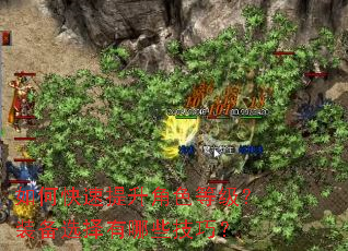 如何快速提升角色等级?装备选择有哪些技巧? 如何快速提升角色等级?装备选择有哪些技巧?