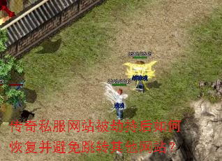 传奇私服网站被劫持后如何恢复并避免跳转其他网站? 传奇私服网站被劫持后如何恢复并避免跳转其他网站?